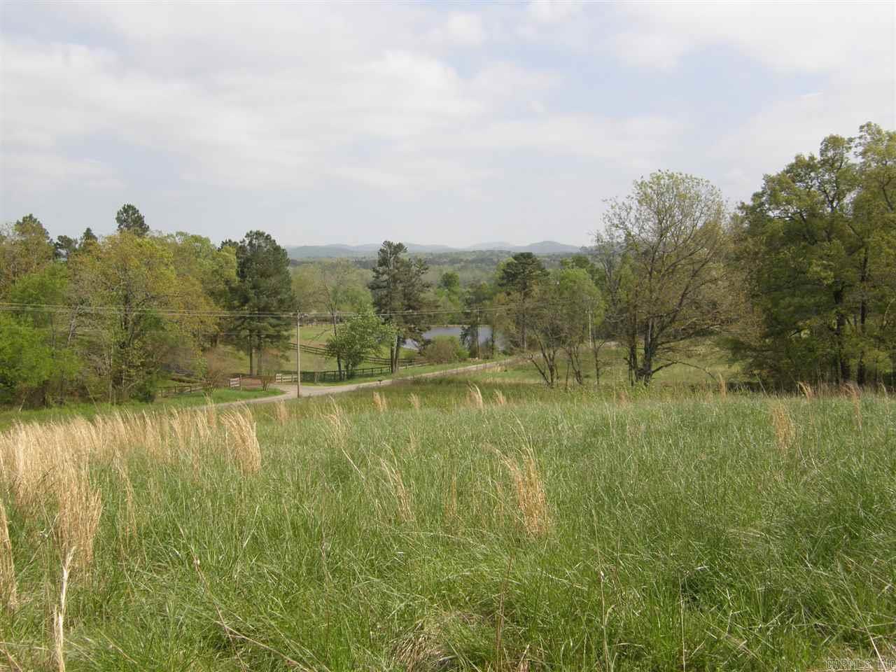 Farm/Ranch/Land for sale – TBD  Polk Road 53   Mena, AR