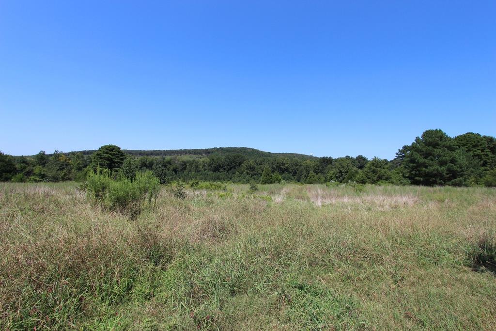 Photo 11 - Vacant Land for sale – 960  Doy B   Conway, AR