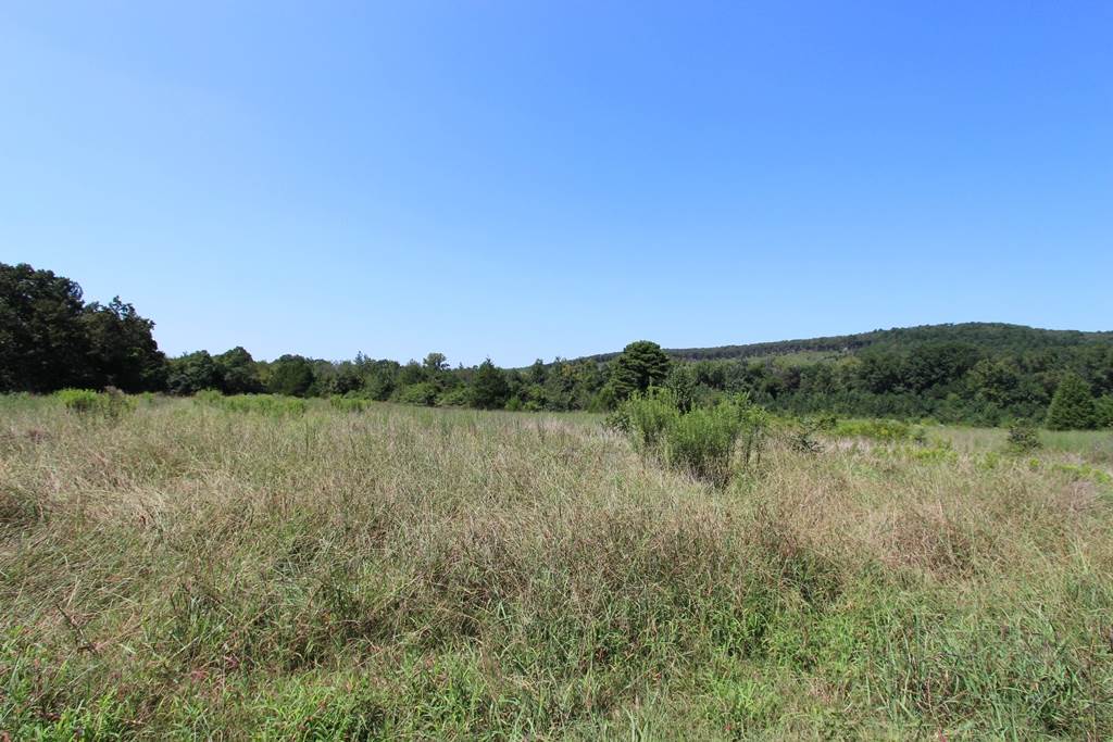 Photo 12 - Vacant Land for sale – 960  Doy B   Conway, AR