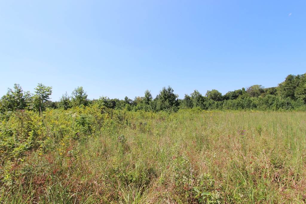 Photo 14 - Vacant Land for sale – 960  Doy B   Conway, AR