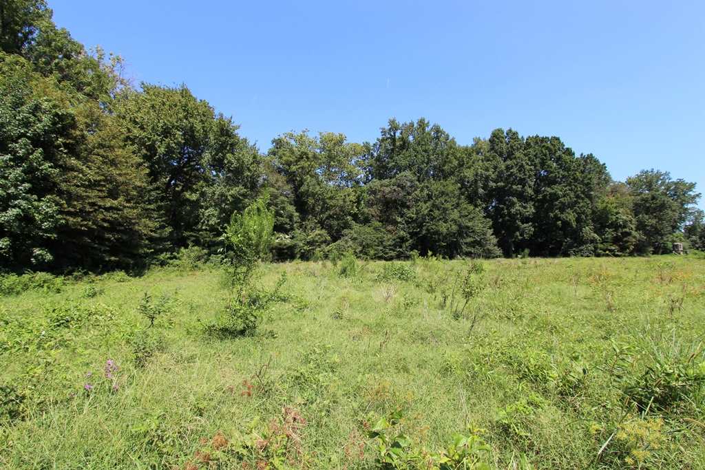 Photo 15 - Vacant Land for sale – 960  Doy B   Conway, AR