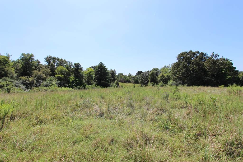 Photo 16 - Vacant Land for sale – 960  Doy B   Conway, AR