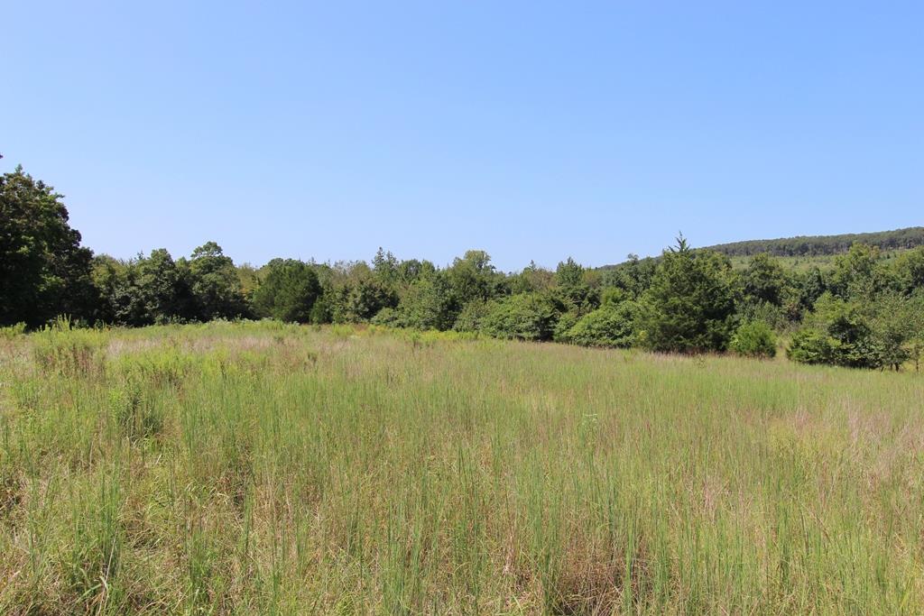 Photo 18 - Vacant Land for sale – 960  Doy B   Conway, AR