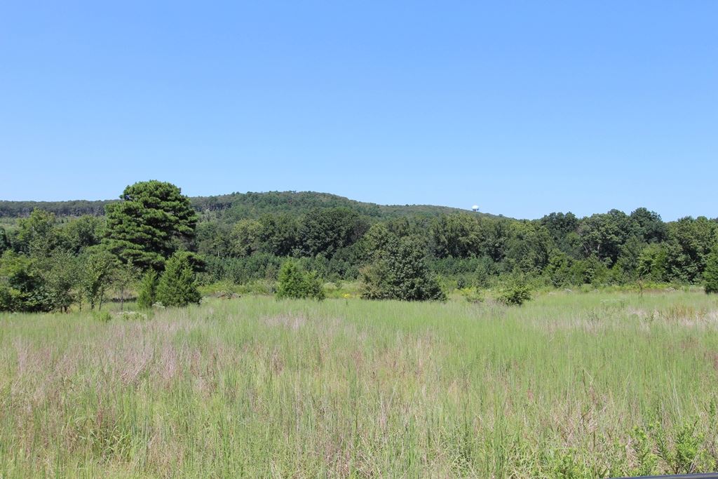 Photo 19 - Vacant Land for sale – 960  Doy B   Conway, AR