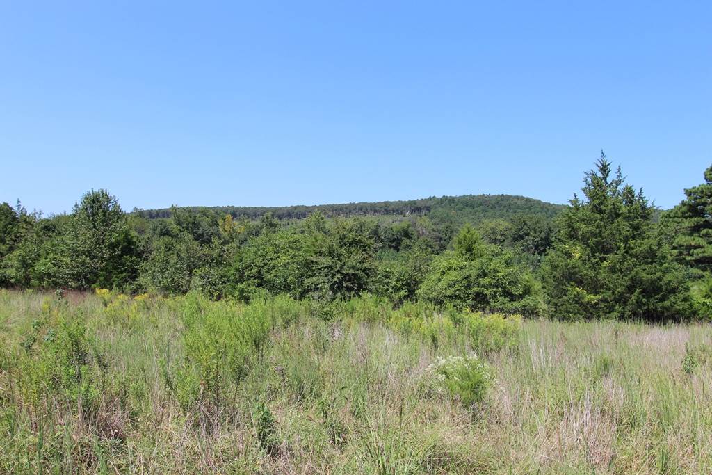 Photo 20 - Vacant Land for sale – 960  Doy B   Conway, AR