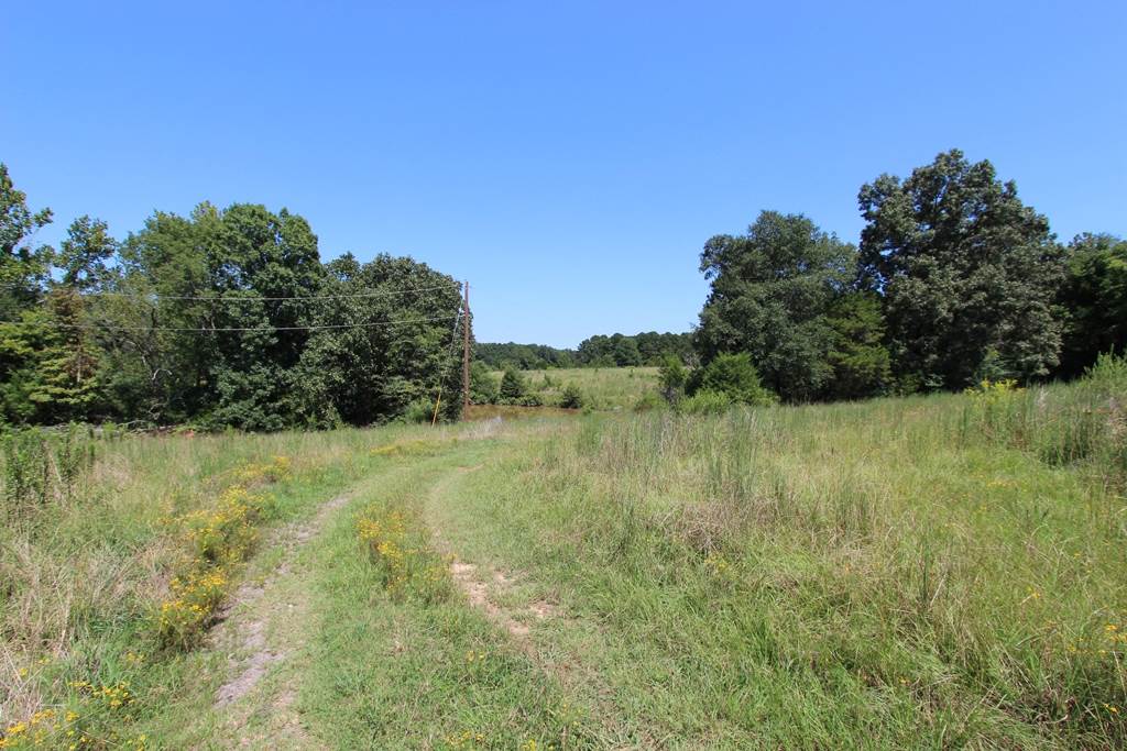 Photo 3 - Vacant Land for sale – 960  Doy B   Conway, AR