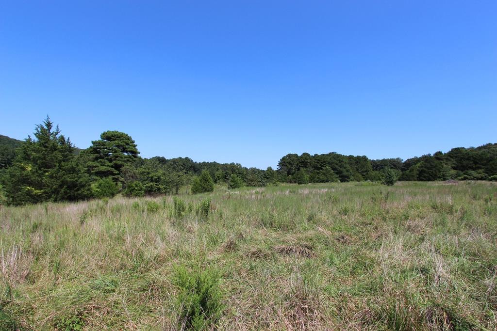 Photo 21 - Vacant Land for sale – 960  Doy B   Conway, AR