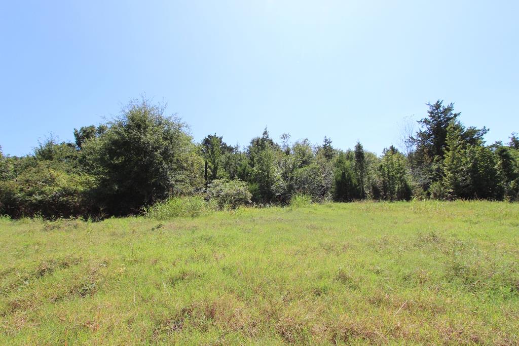 Photo 26 - Vacant Land for sale – 960  Doy B   Conway, AR