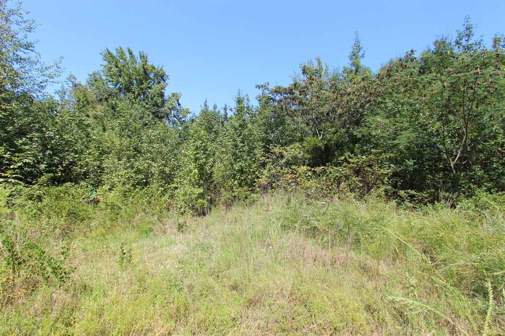 Photo 27 - Vacant Land for sale – 960  Doy B   Conway, AR