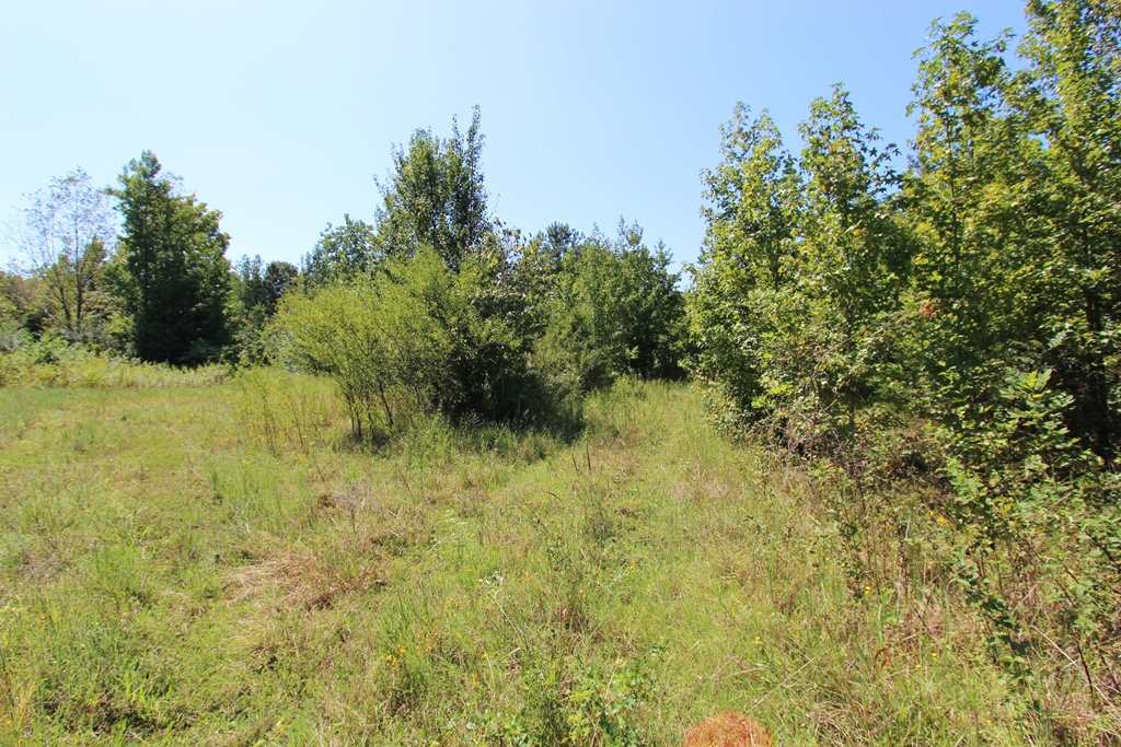 Photo 28 - Vacant Land for sale – 960  Doy B   Conway, AR