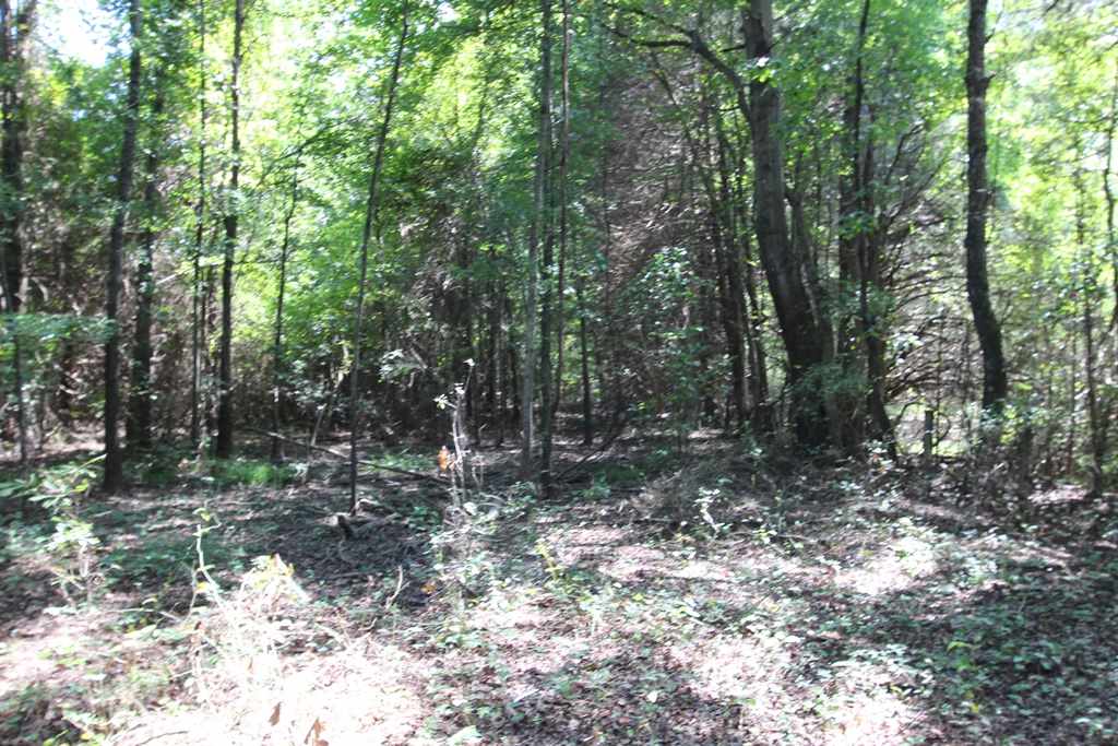 Photo 29 - Vacant Land for sale – 960  Doy B   Conway, AR