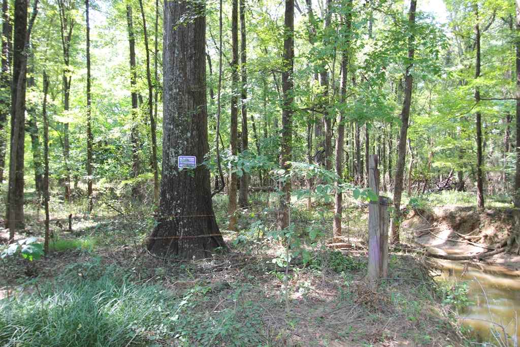 Photo 30 - Vacant Land for sale – 960  Doy B   Conway, AR