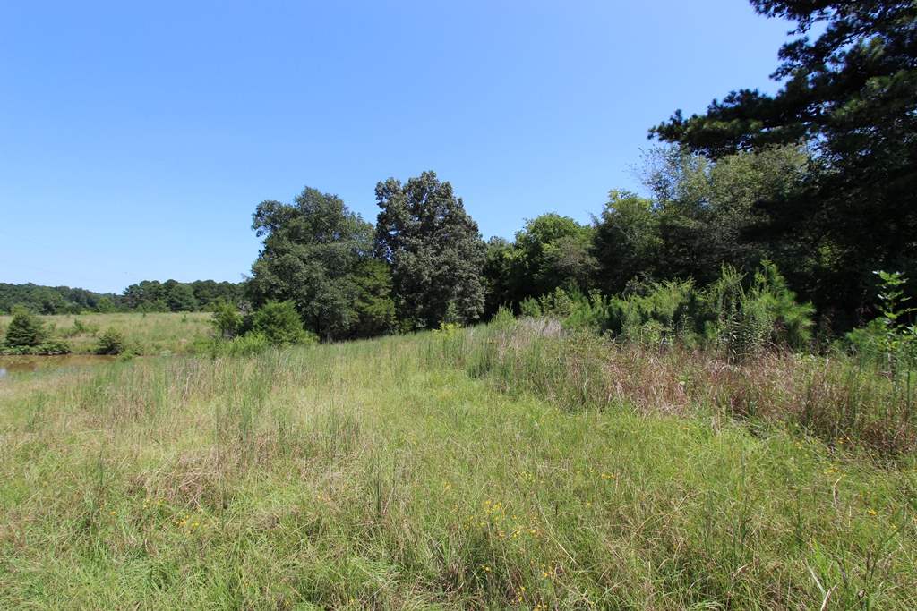 Photo 4 - Vacant Land for sale – 960  Doy B   Conway, AR