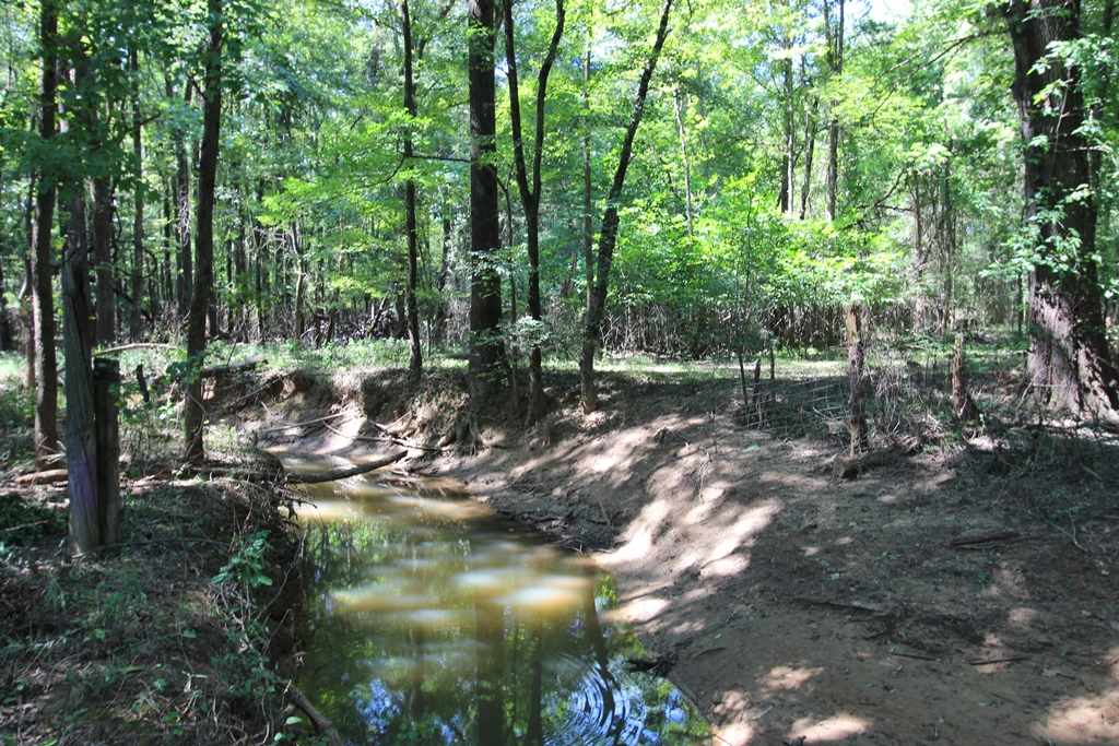 Photo 31 - Vacant Land for sale – 960  Doy B   Conway, AR