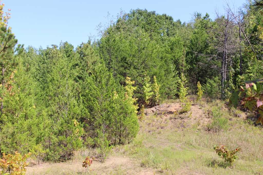 Photo 35 - Vacant Land for sale – 960  Doy B   Conway, AR