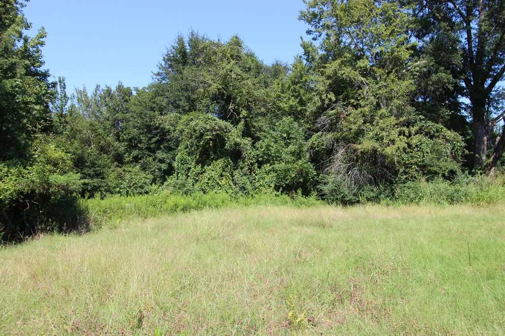 Photo 36 - Vacant Land for sale – 960  Doy B   Conway, AR