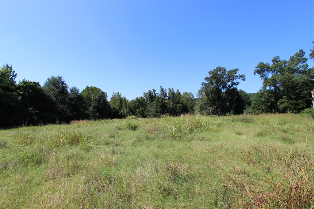 Photo 37 - Vacant Land for sale – 960  Doy B   Conway, AR