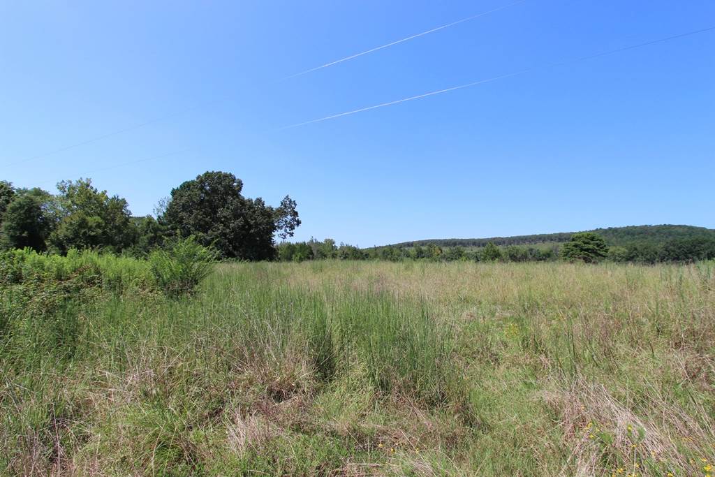 Photo 5 - Vacant Land for sale – 960  Doy B   Conway, AR