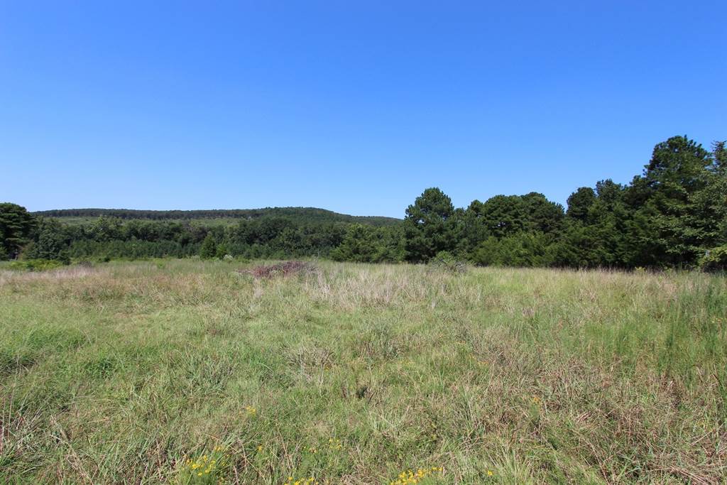 Photo 9 - Vacant Land for sale – 960  Doy B   Conway, AR