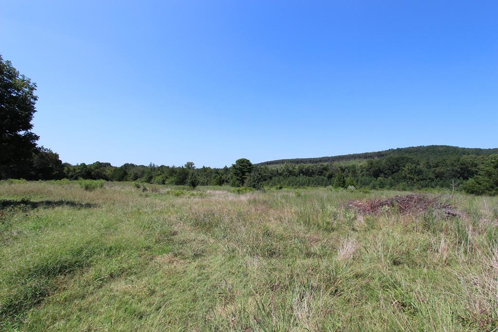 Photo 10 - Vacant Land for sale – 960  Doy B   Conway, AR