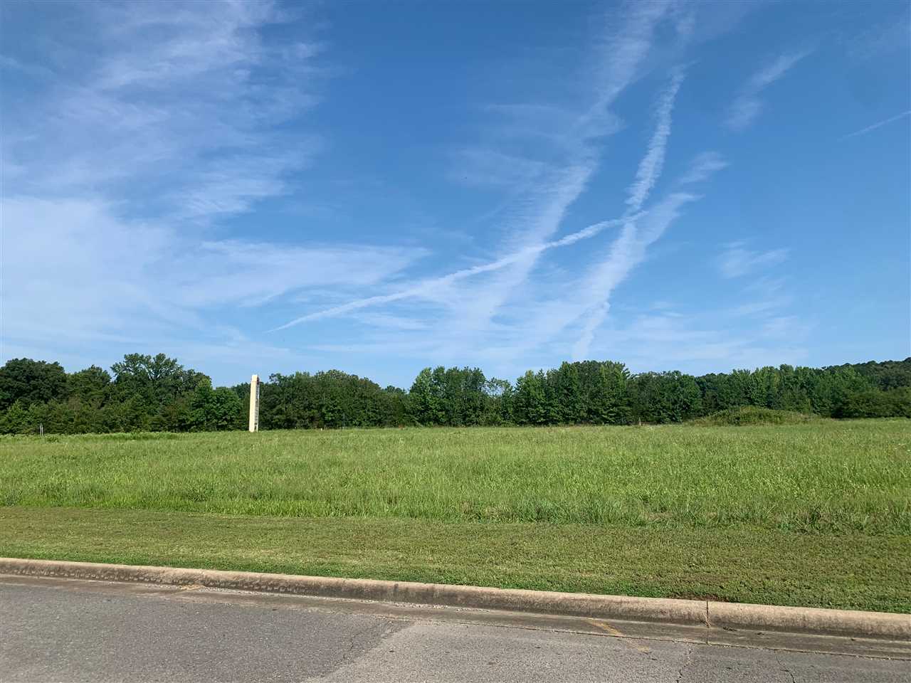 Vacant Land for sale – 00  Hwy. 110 & Hwy. 25 By-Pass   Heber Springs, AR