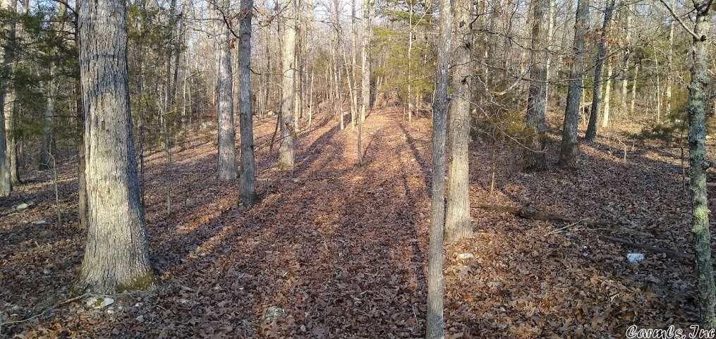 Vacant Land for sale –   Steves   Hardy, AR