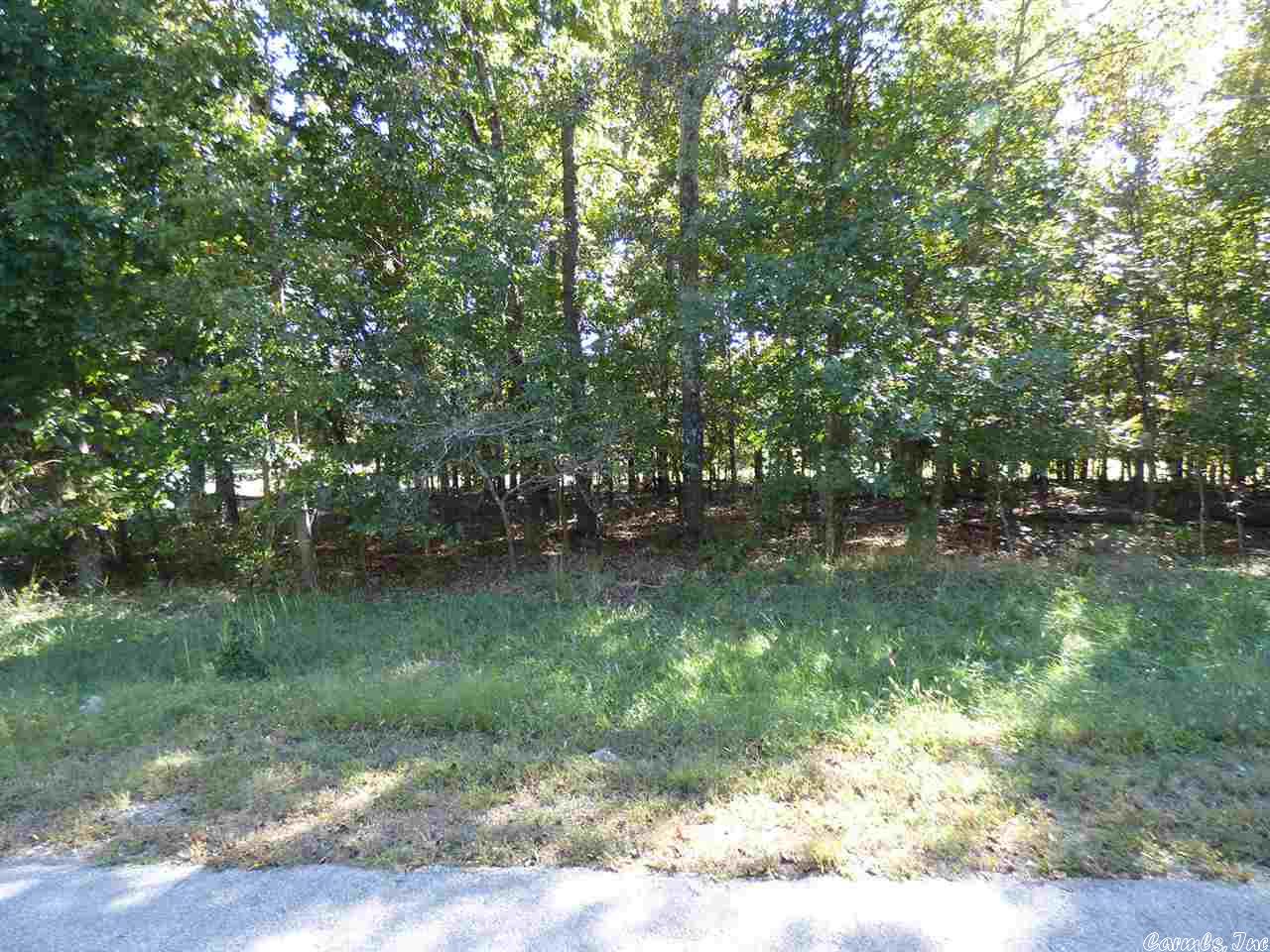 Photo 4 - Vacant Land for sale –   Katsina   Cherokee Village, AR