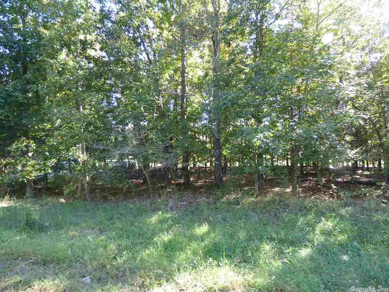 Photo 5 - Vacant Land for sale –   Katsina   Cherokee Village, AR