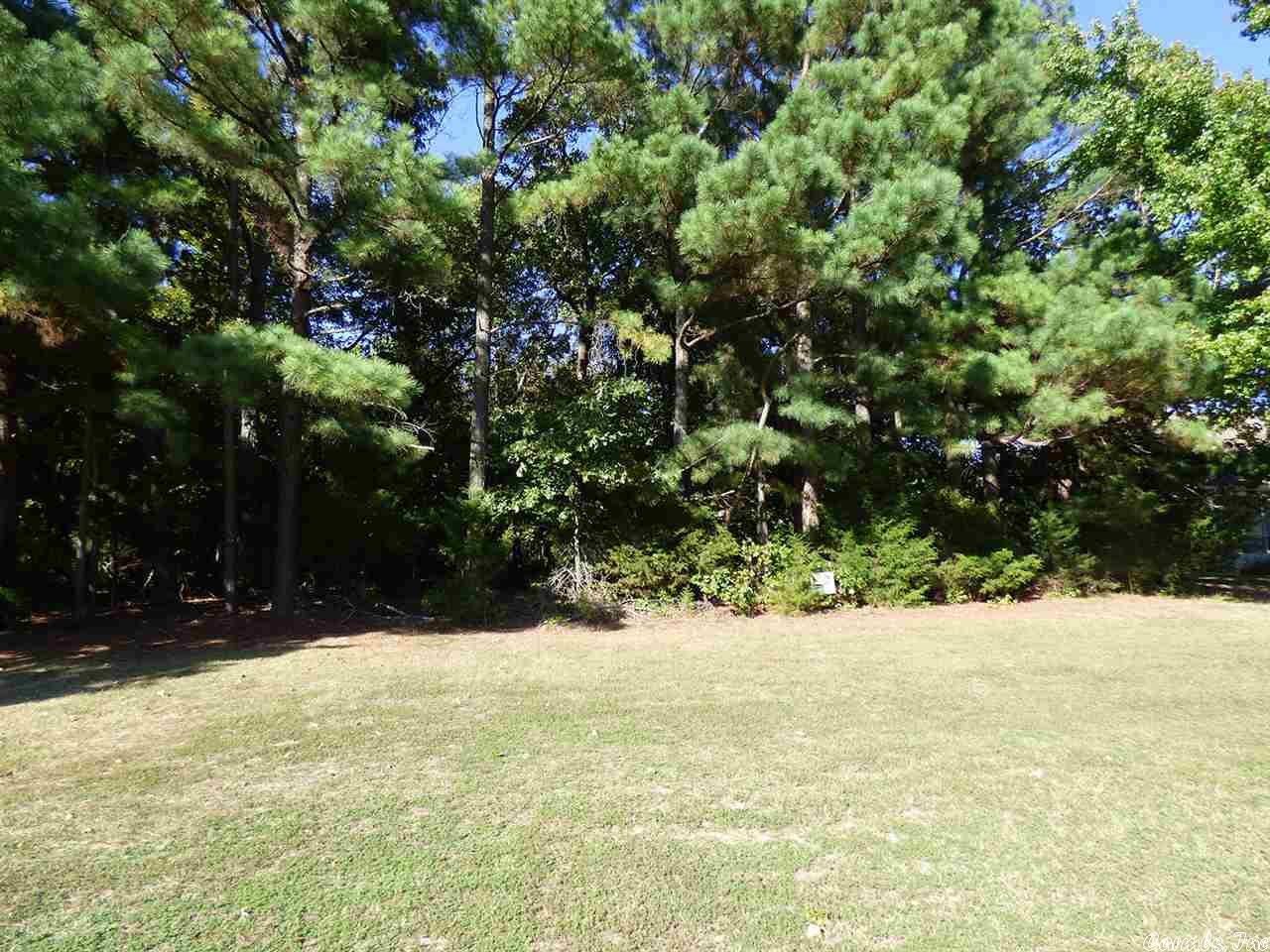 Photo 6 - Vacant Land for sale –   Katsina   Cherokee Village, AR