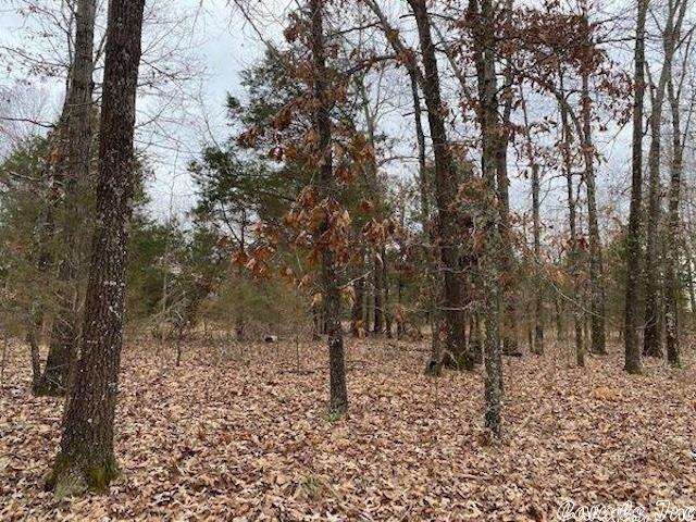 Vacant Land for sale – 2912  Crescent   Horseshoe Bend, AR