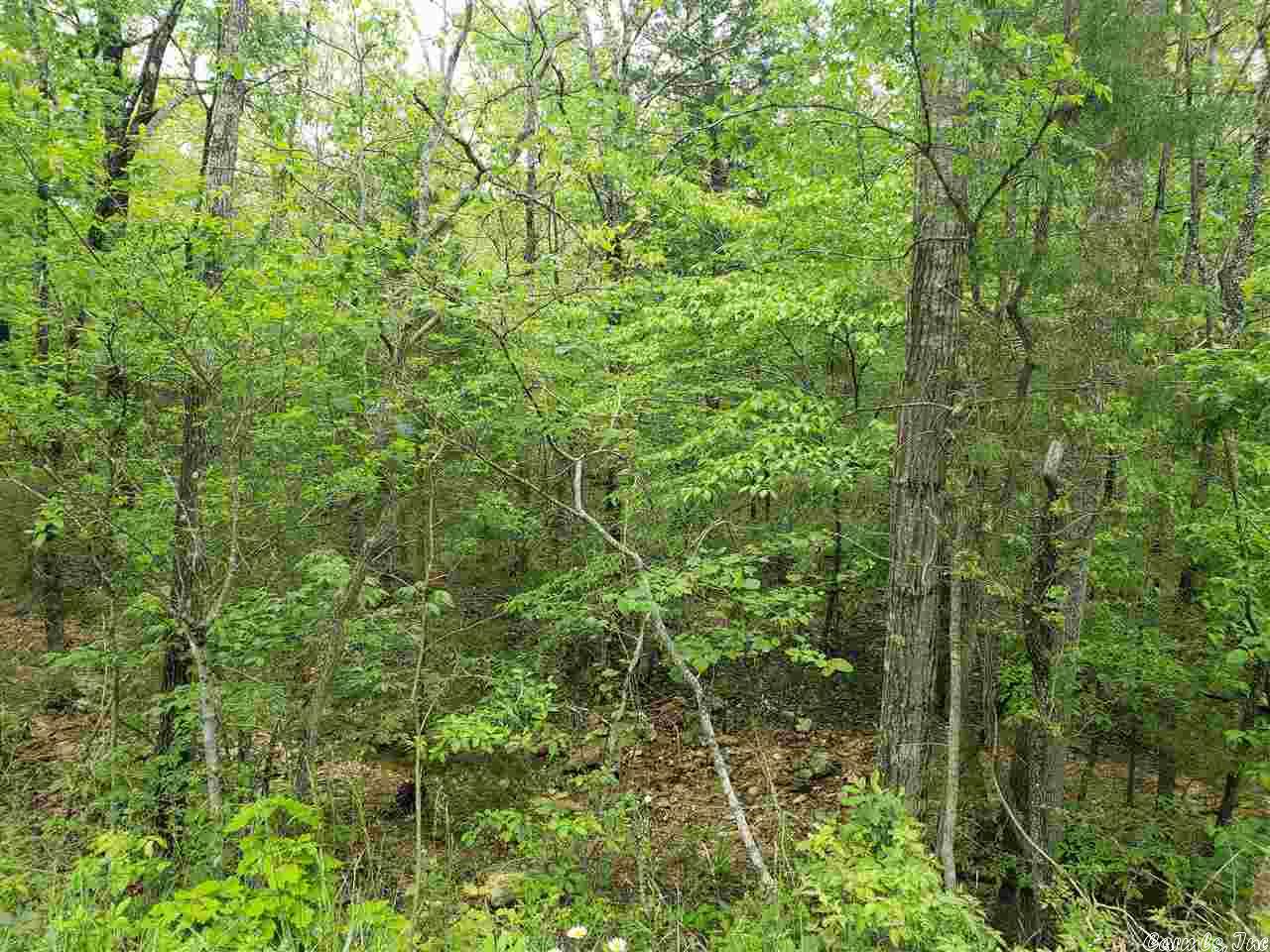 Vacant Land for sale –   Hopi   Cherokee Village, AR