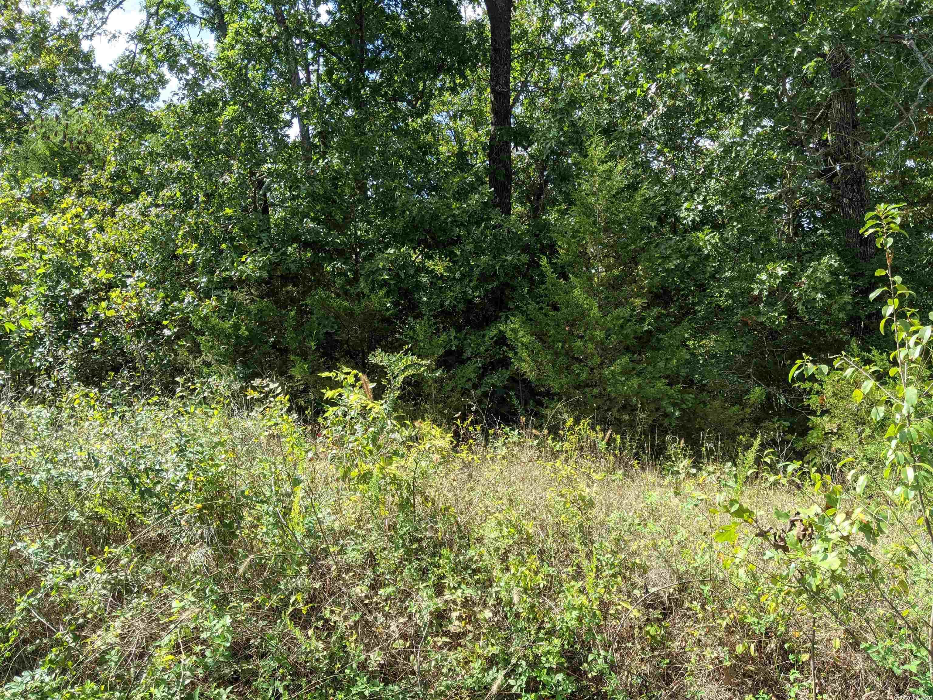 Vacant Land for sale – 413 N Fairview   Horseshoe Bend, AR