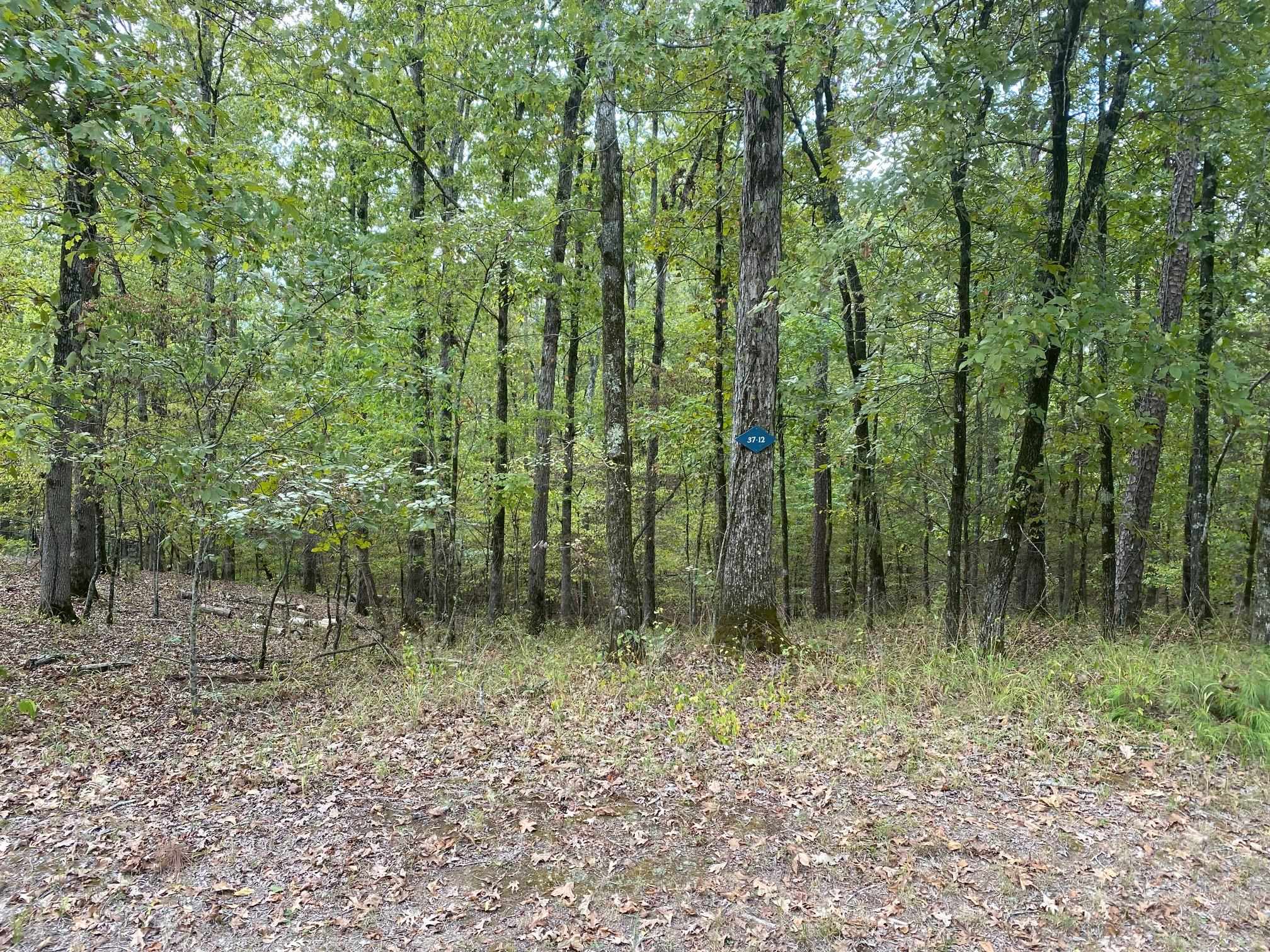 Vacant Land for sale – 4  Princesa   Hot Springs Village, AR