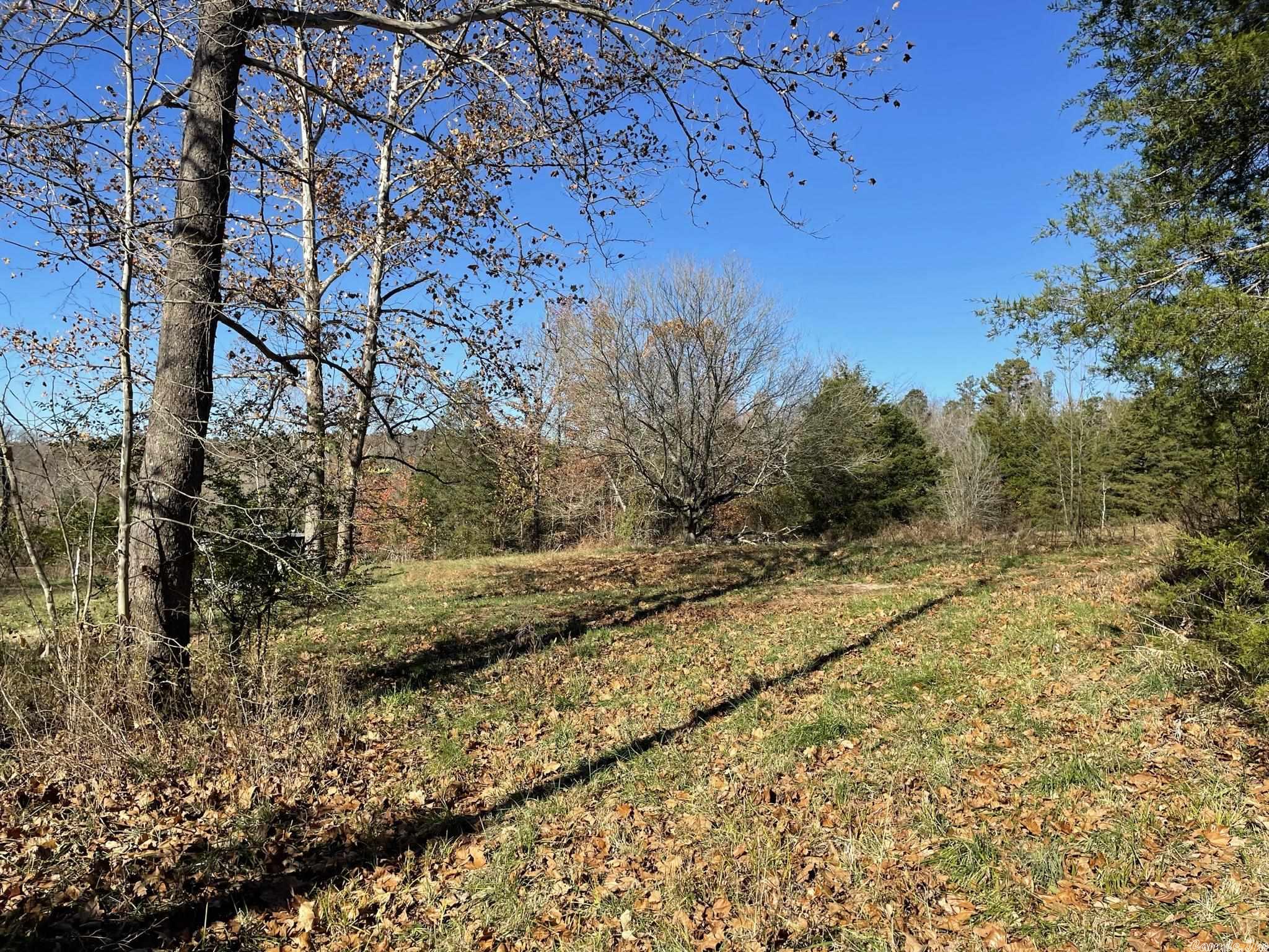 Vacant Land for sale – 11A  Campground   Wideman, AR