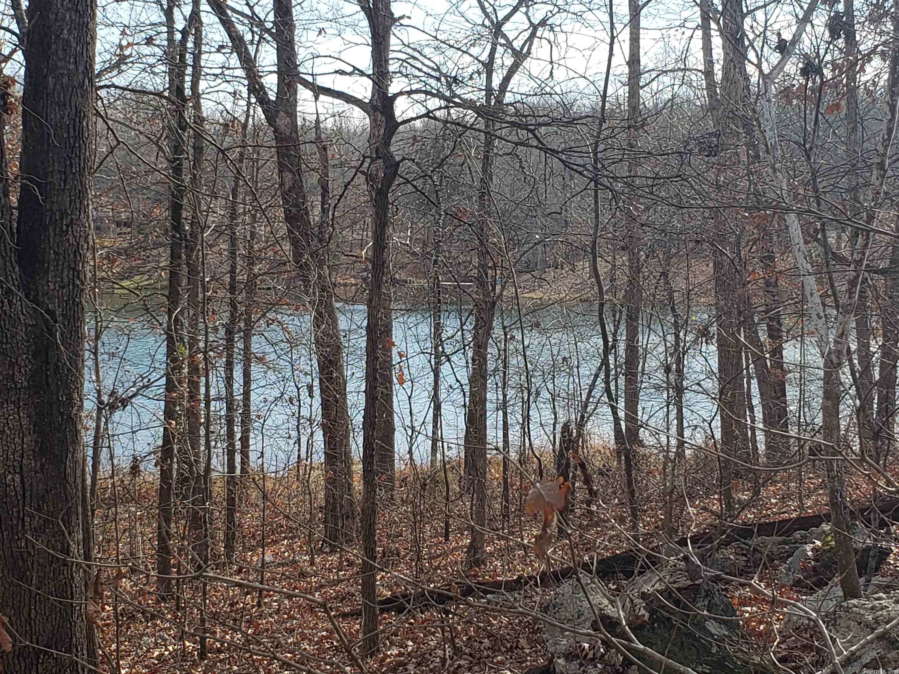 Photo 2 - Vacant Land for sale –   W Lakeshore   Highland, AR