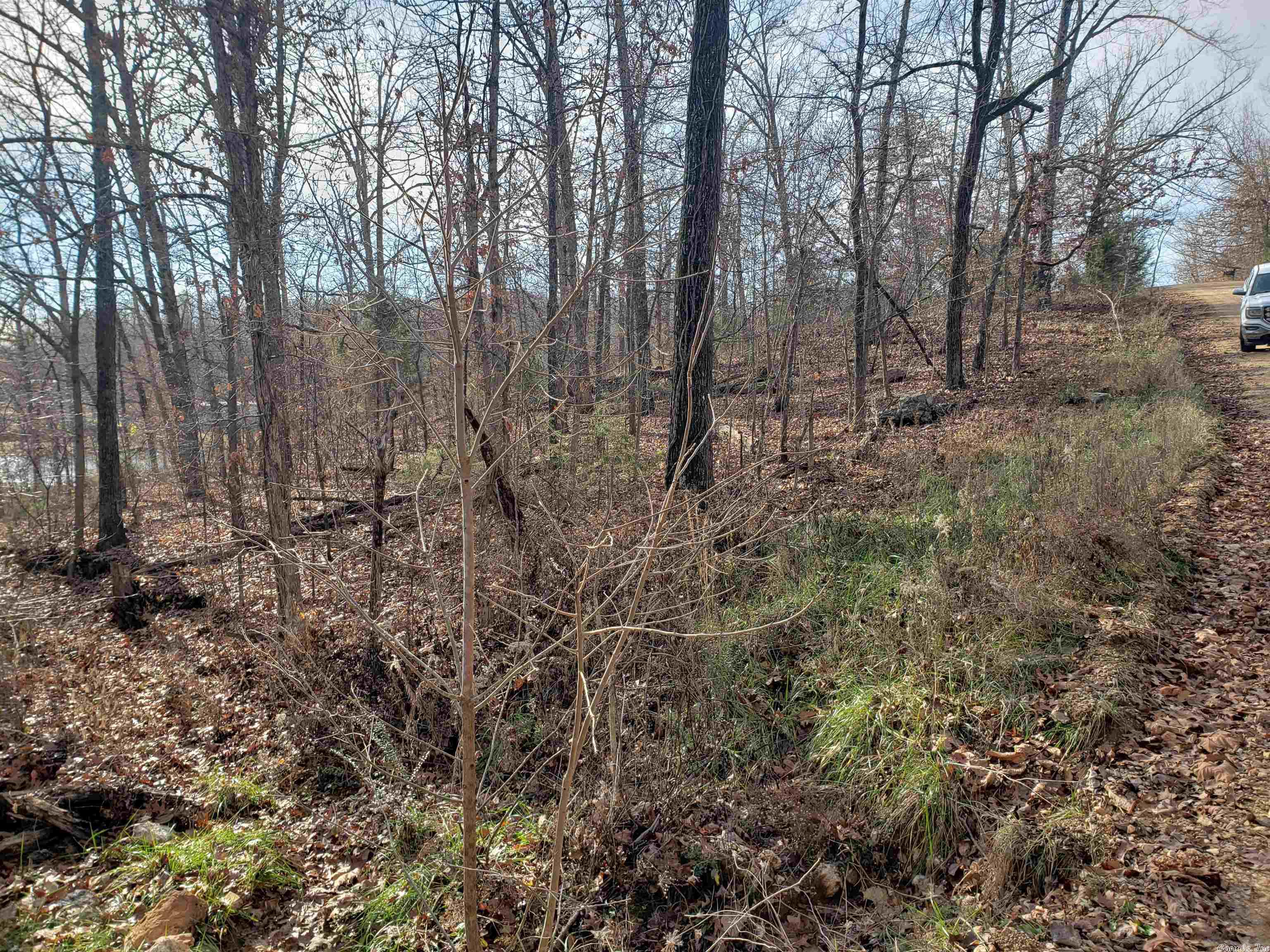 Photo 11 - Vacant Land for sale –   W Lakeshore   Highland, AR