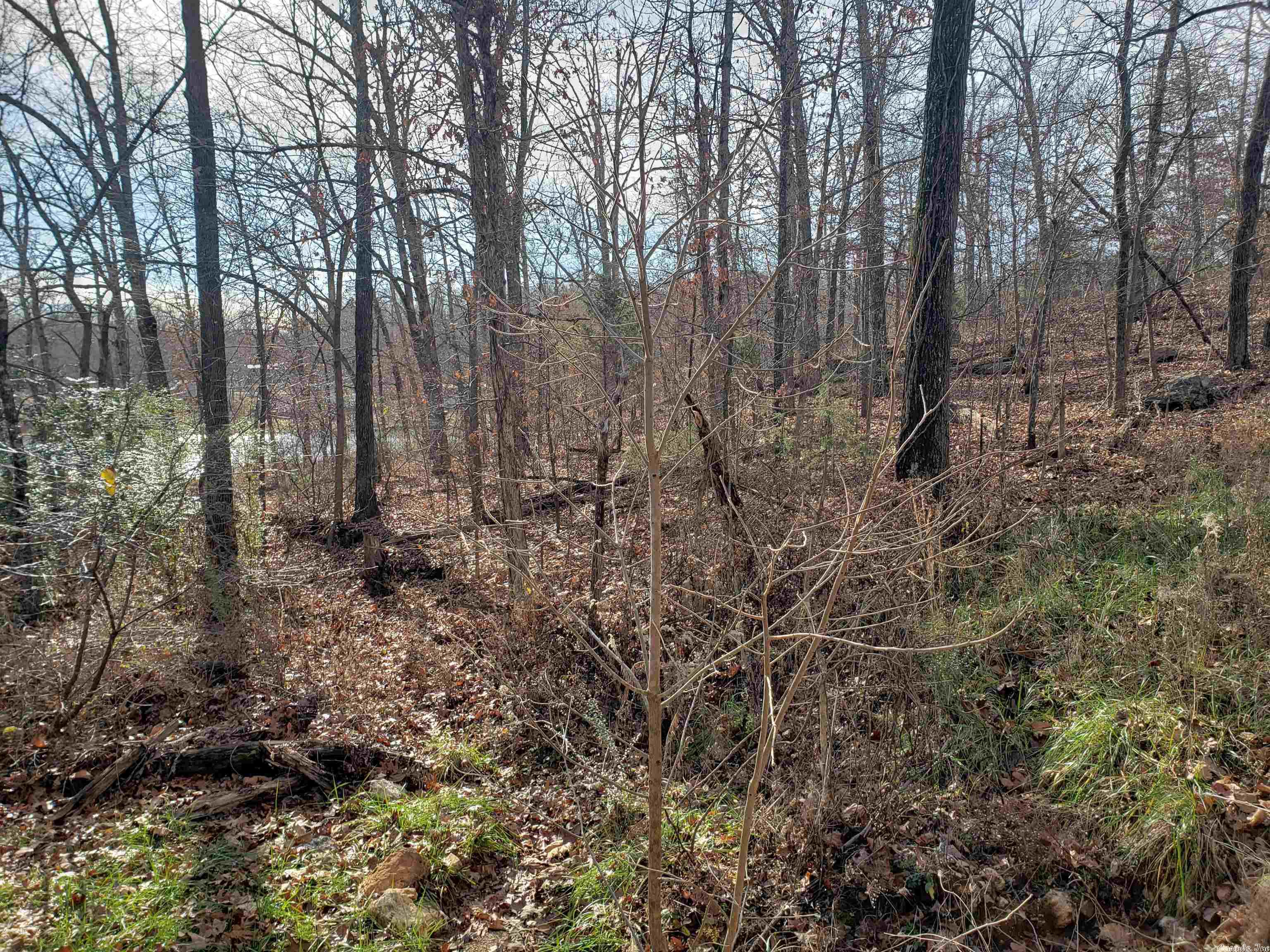 Photo 12 - Vacant Land for sale –   W Lakeshore   Highland, AR