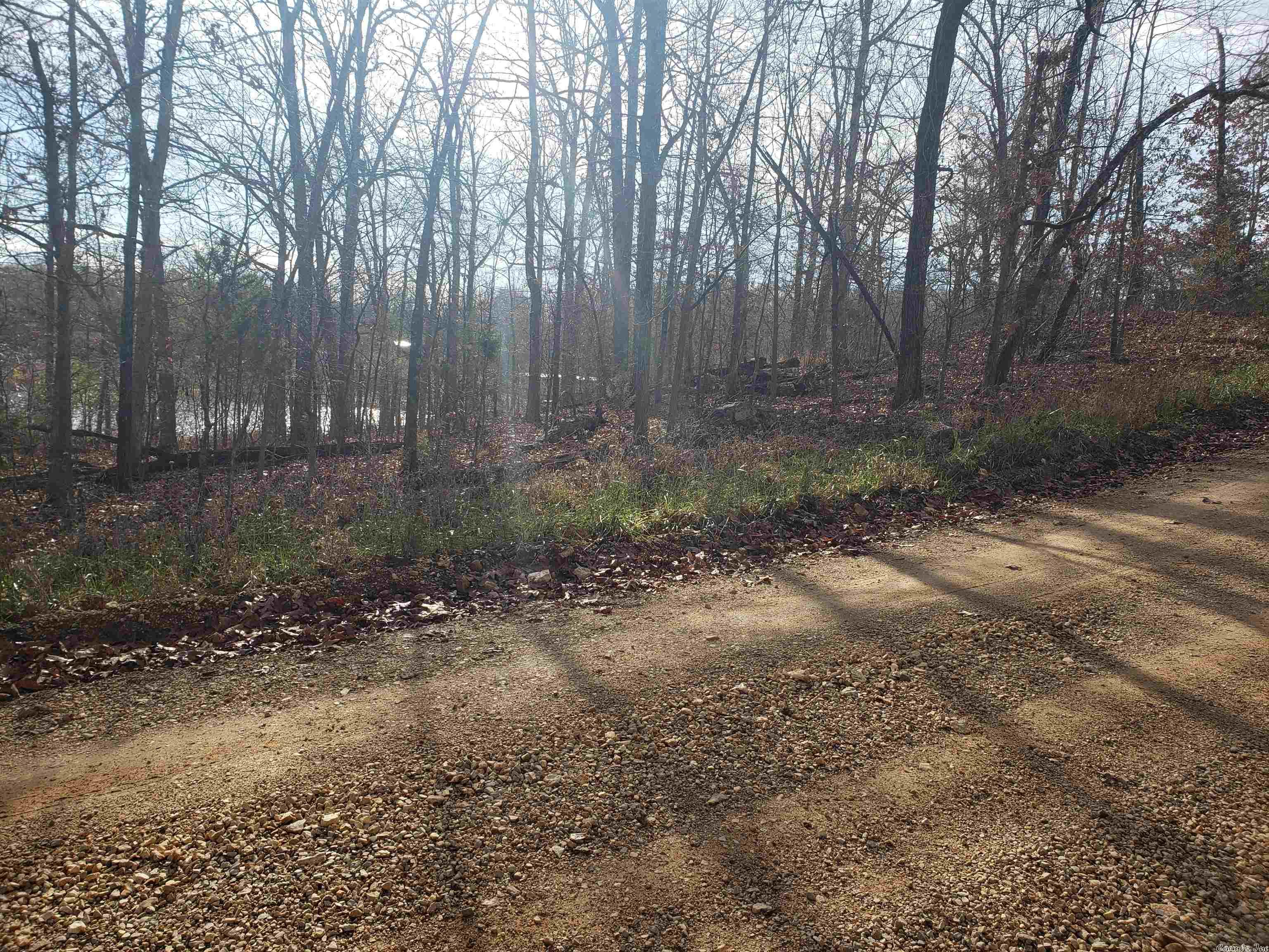 Photo 15 - Vacant Land for sale –   W Lakeshore   Highland, AR