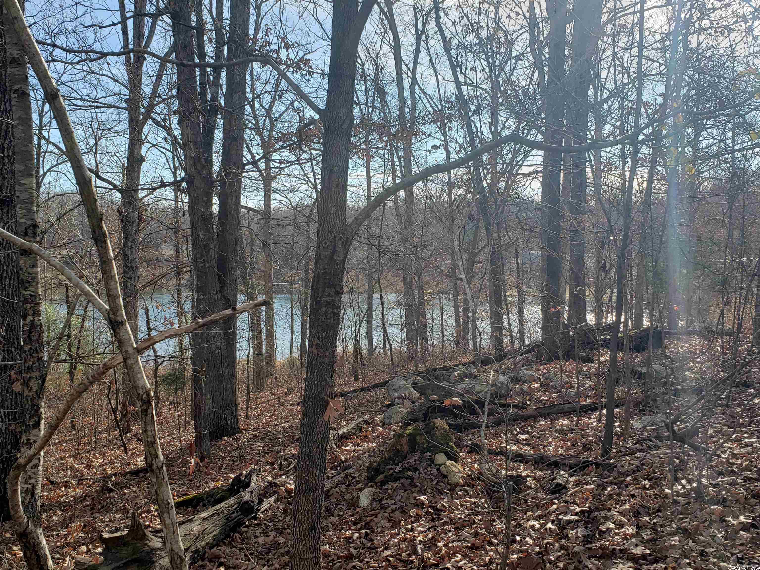 Photo 3 - Vacant Land for sale –   W Lakeshore   Highland, AR