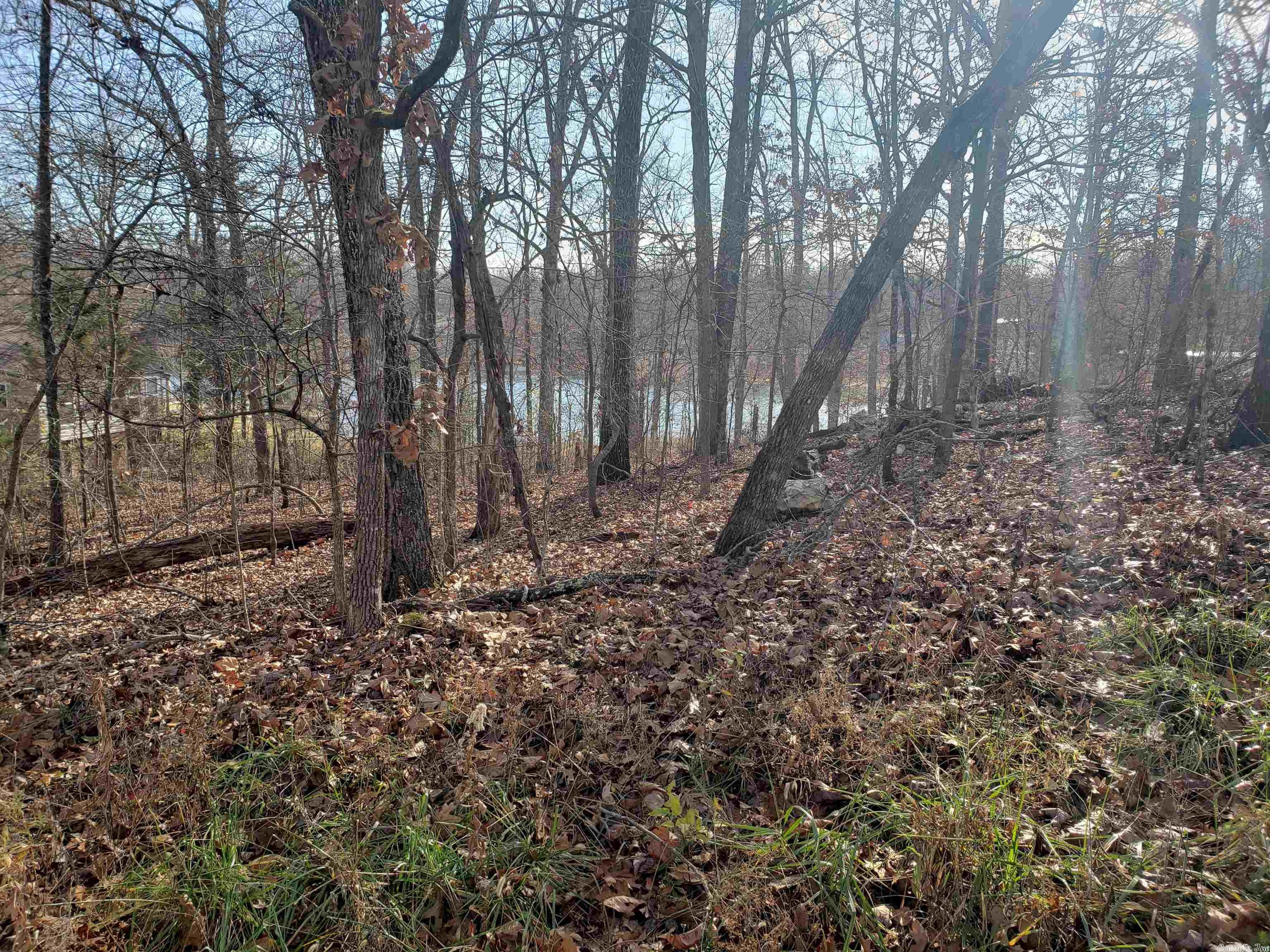 Photo 4 - Vacant Land for sale –   W Lakeshore   Highland, AR
