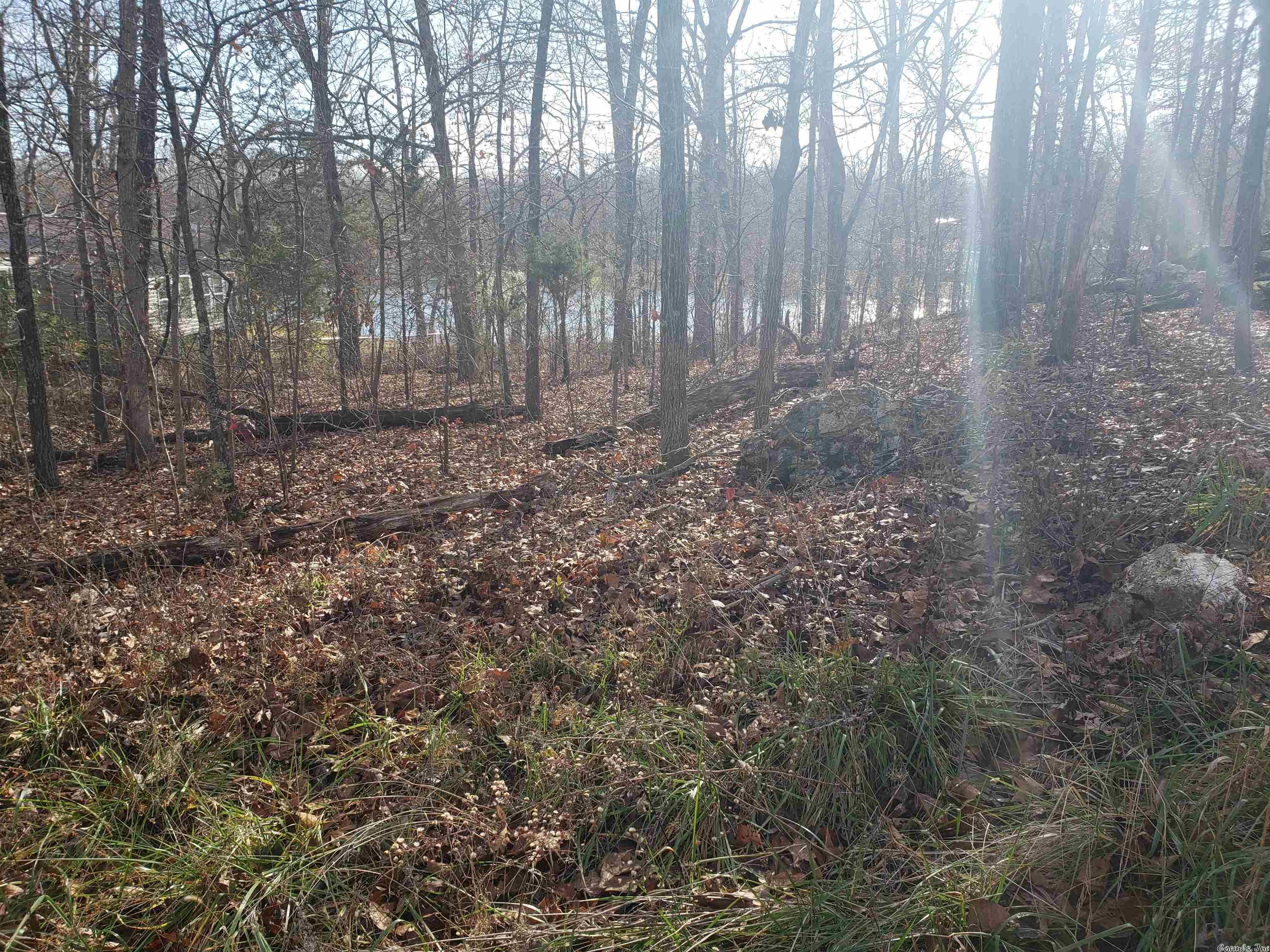Photo 5 - Vacant Land for sale –   W Lakeshore   Highland, AR