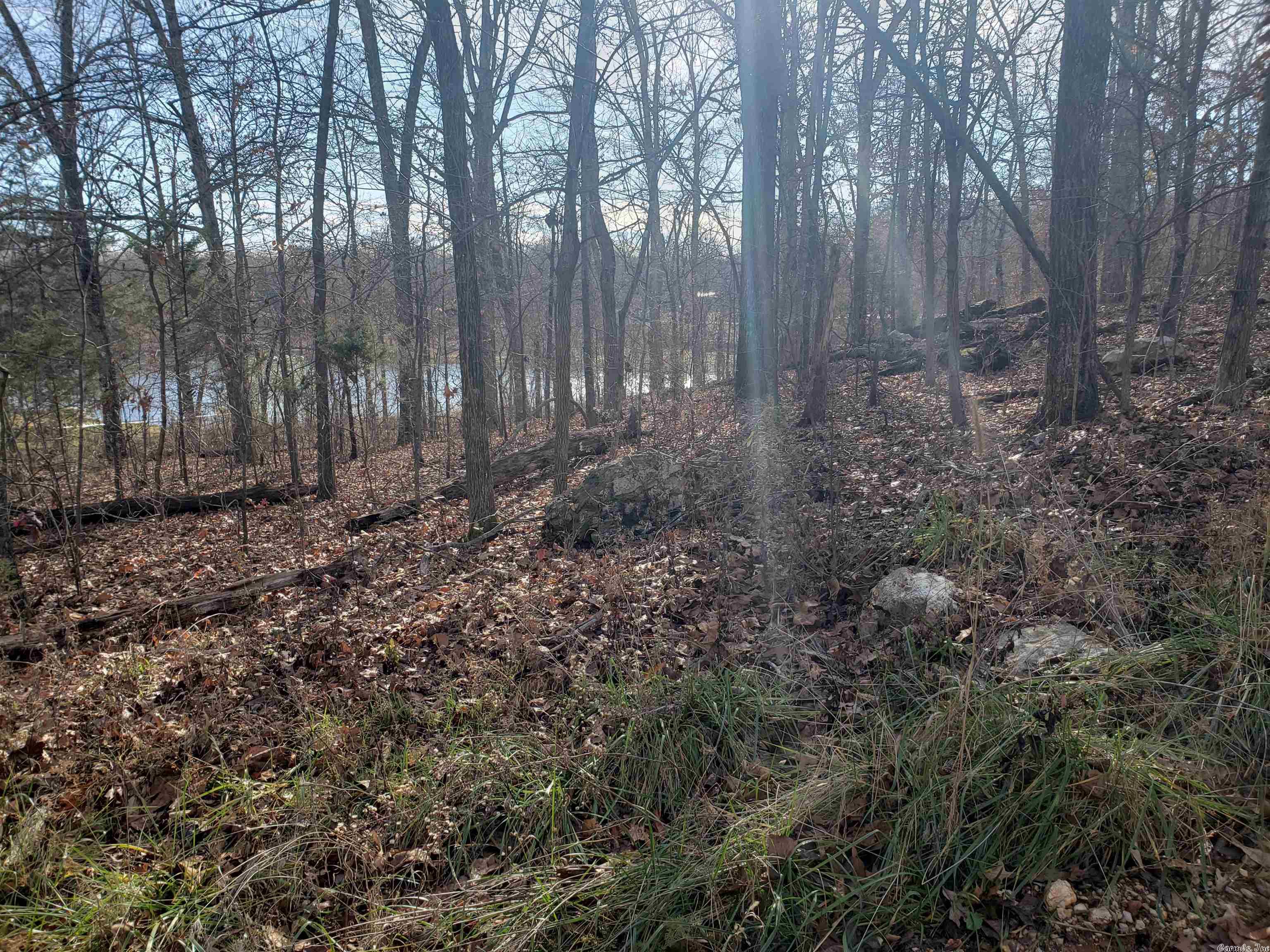 Photo 6 - Vacant Land for sale –   W Lakeshore   Highland, AR