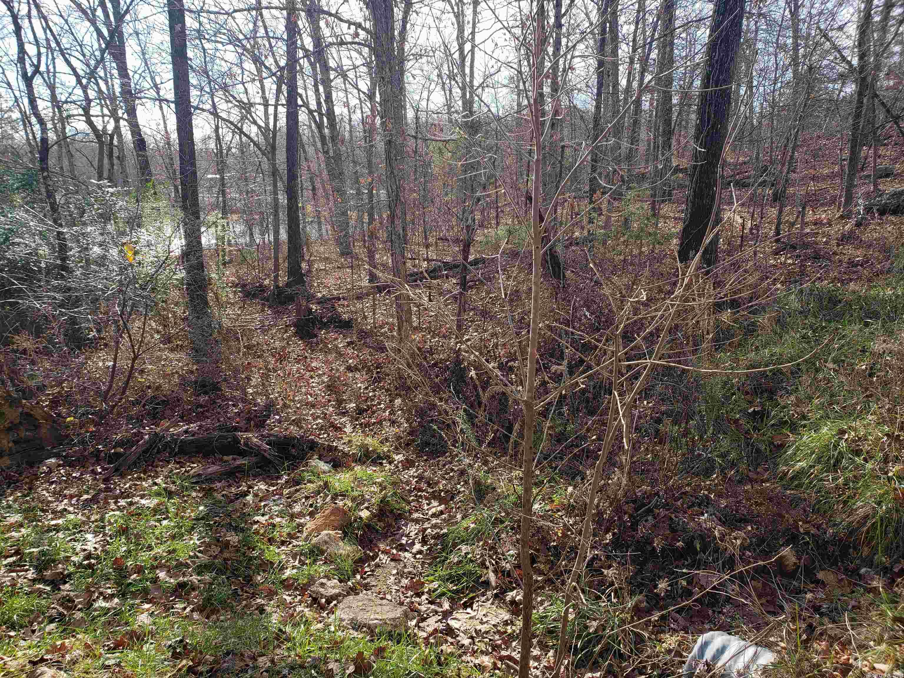 Photo 7 - Vacant Land for sale –   W Lakeshore   Highland, AR