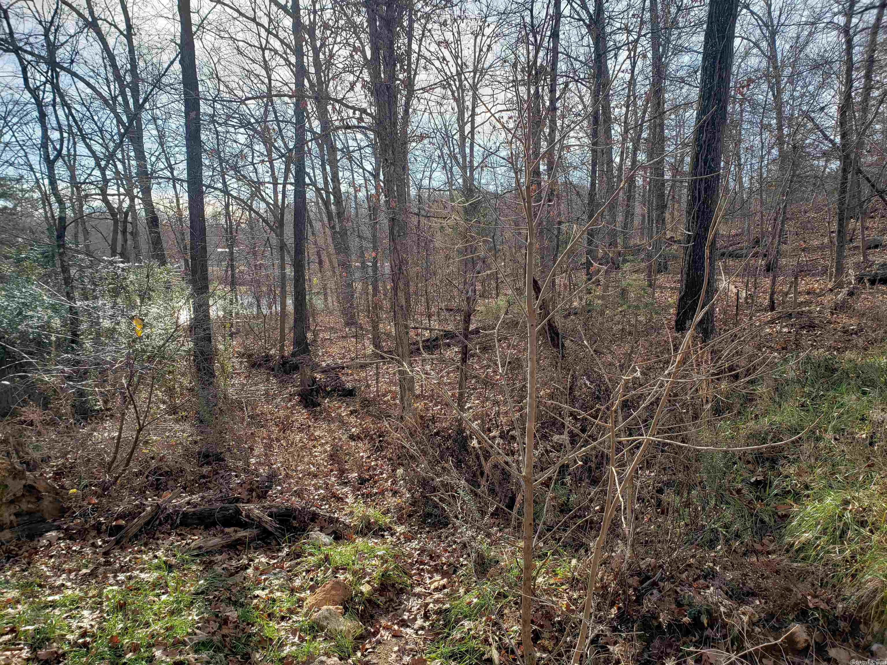 Photo 8 - Vacant Land for sale –   W Lakeshore   Highland, AR