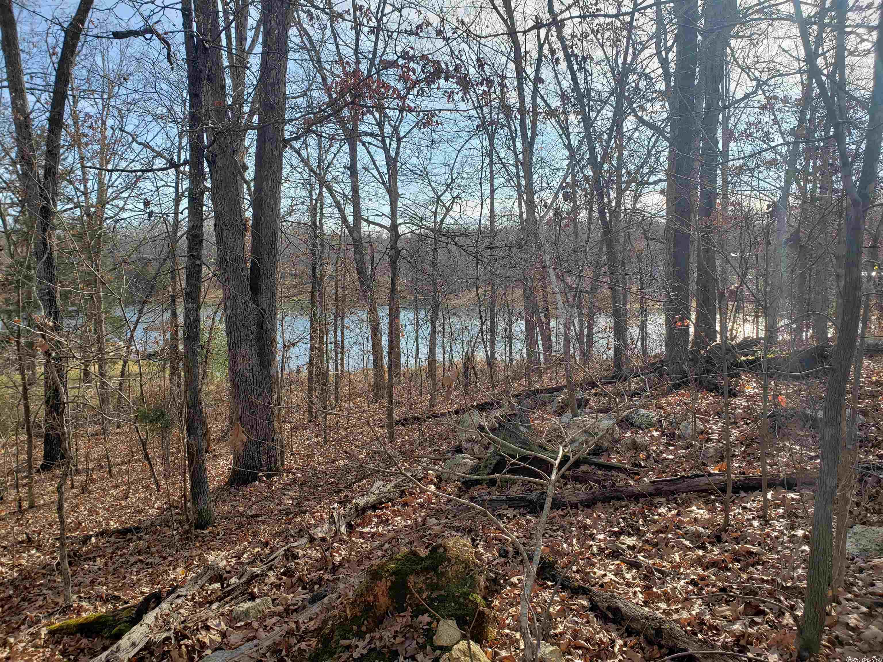 Photo 9 - Vacant Land for sale –   W Lakeshore   Highland, AR