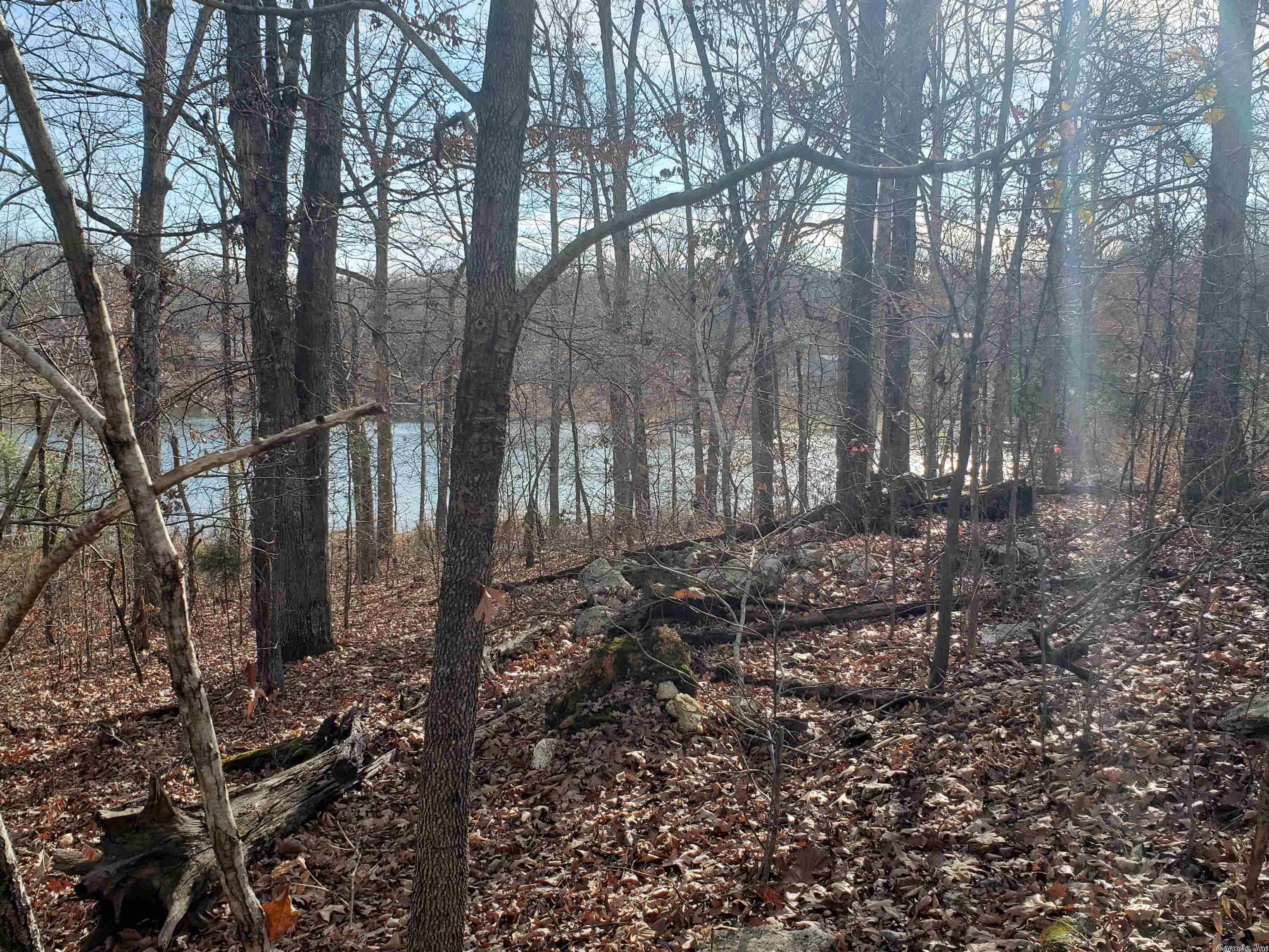 Photo 10 - Vacant Land for sale –   W Lakeshore   Highland, AR