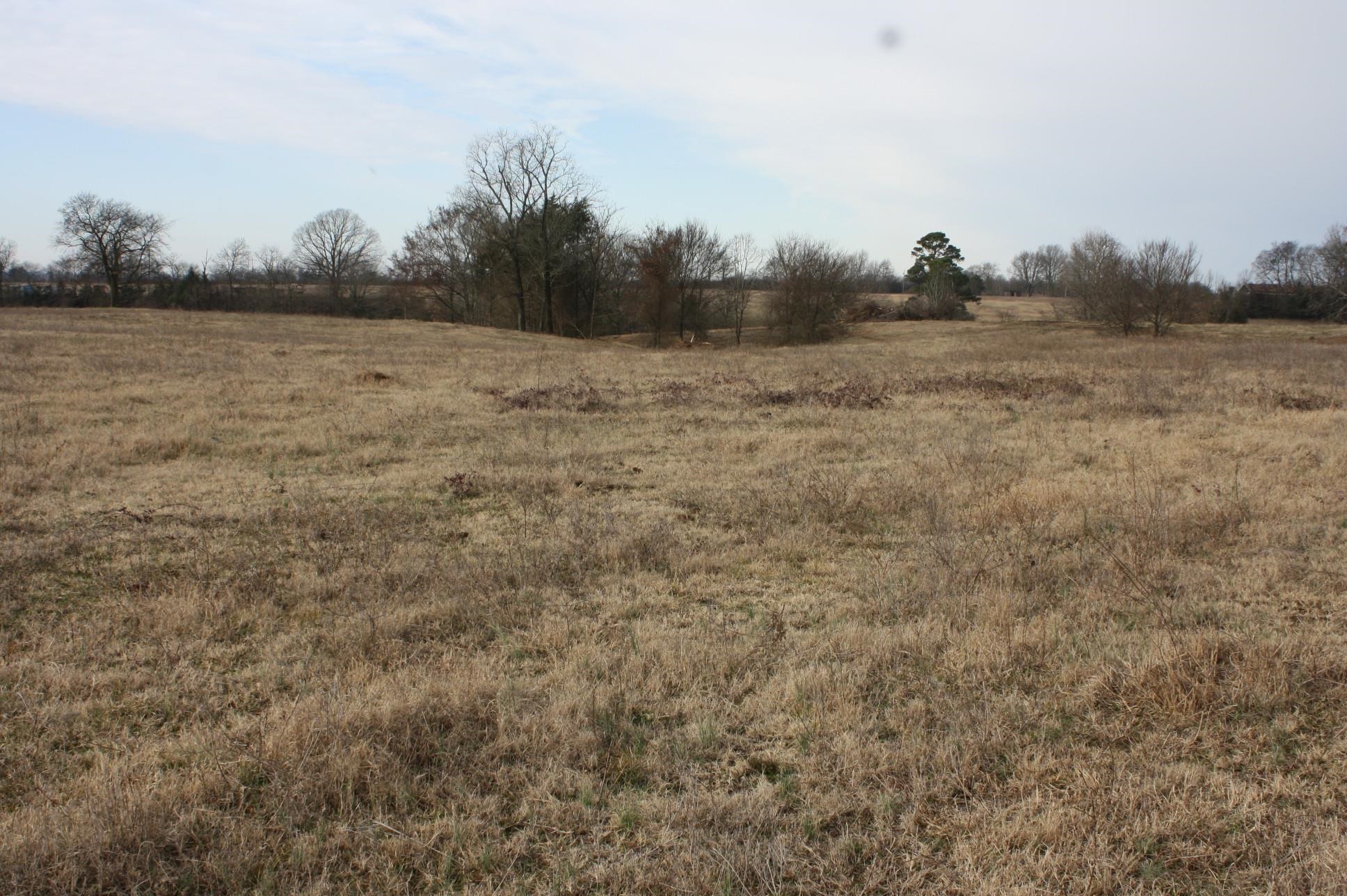 Photo 11 - Vacant Land for sale –   Corn Bridge Rd.   Nashville, AR