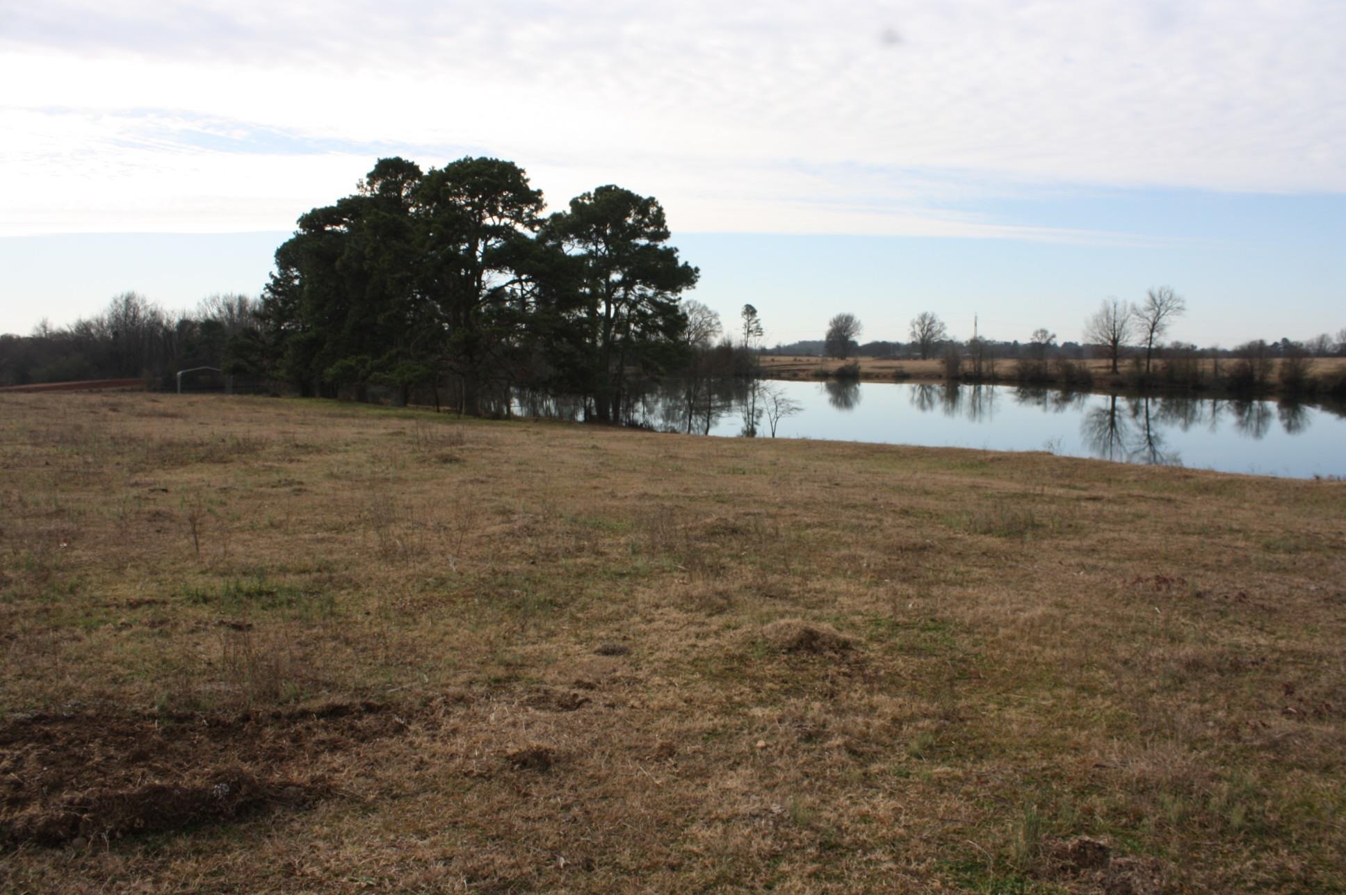 Photo 5 - Vacant Land for sale –   Corn Bridge Rd.   Nashville, AR