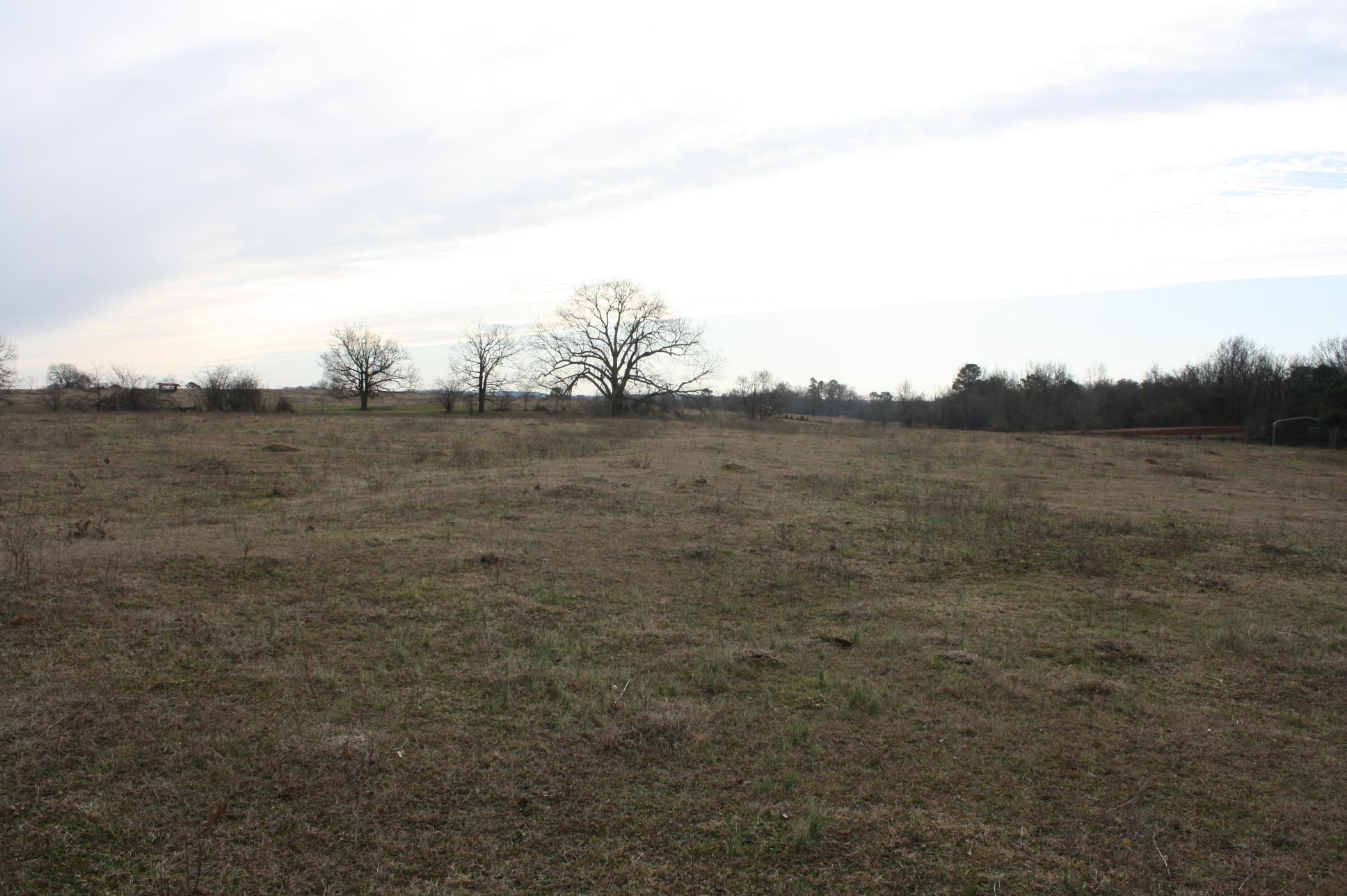 Photo 7 - Vacant Land for sale –   Corn Bridge Rd.   Nashville, AR
