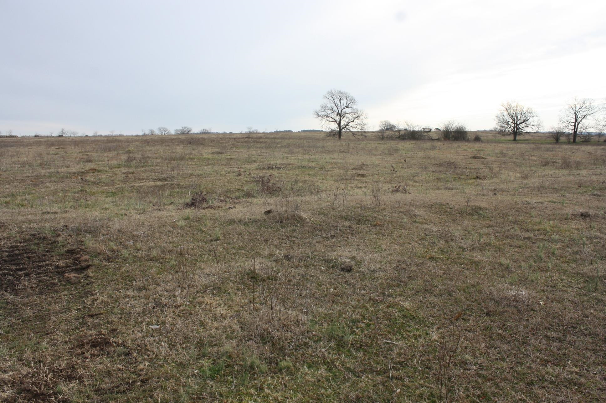 Photo 8 - Vacant Land for sale –   Corn Bridge Rd.   Nashville, AR
